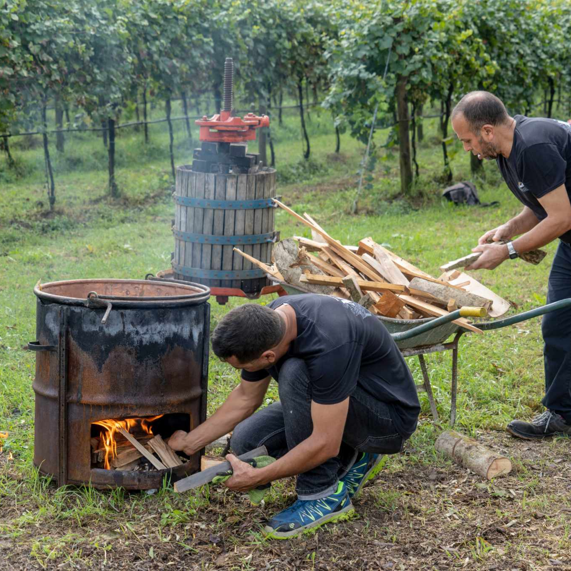 Silver Organic Balsamic Vinegar de Modena IGP - Guerzoni